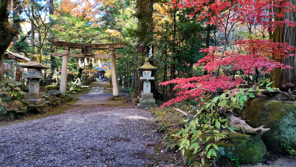 五所駒瀧神社・秋・もみじ